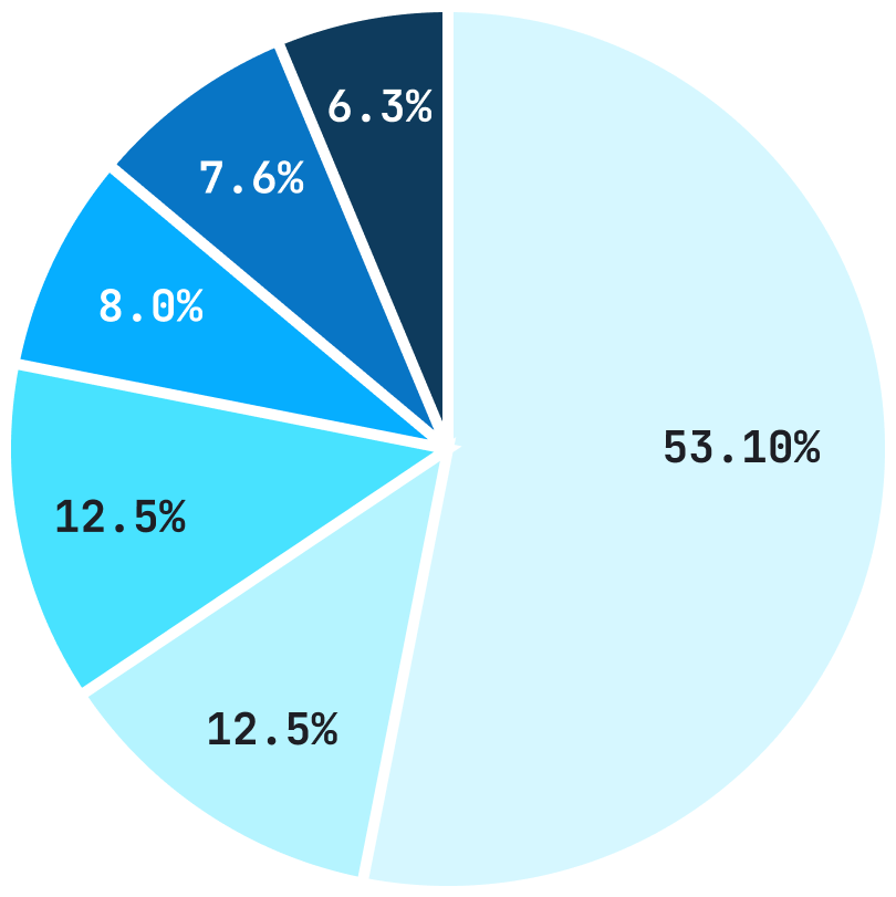 Company annual revenue